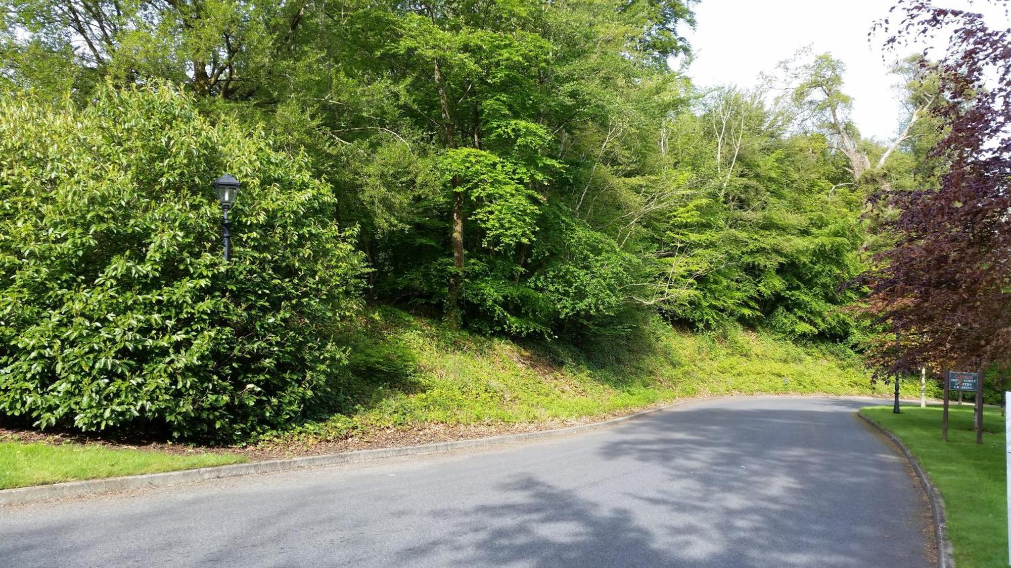 New Forest Estate Lodges Tyrrellspass Εξωτερικό φωτογραφία