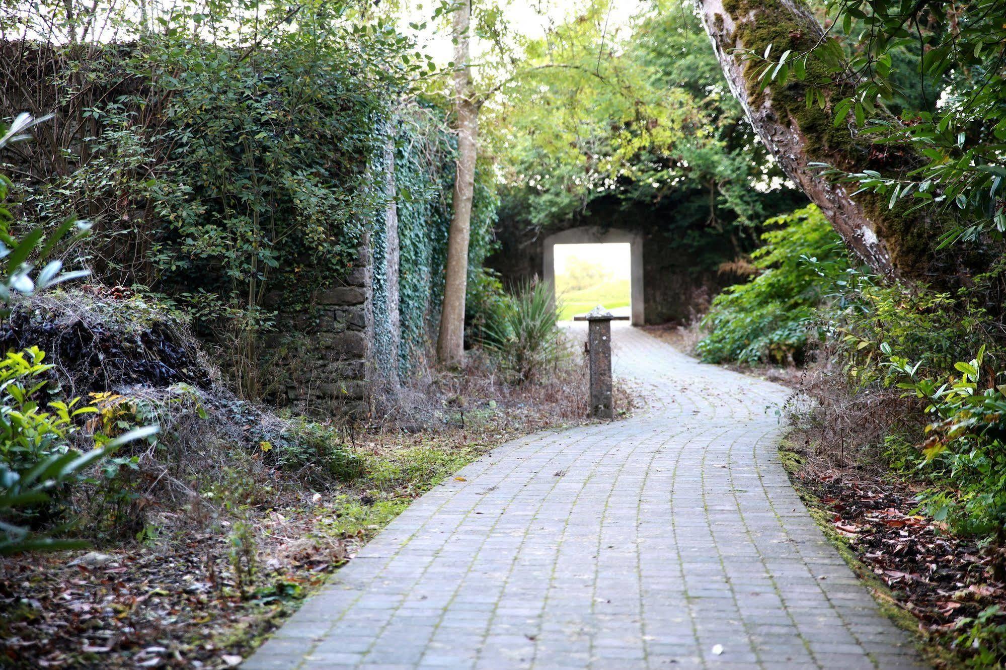 New Forest Estate Lodges Tyrrellspass Εξωτερικό φωτογραφία